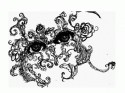 eyes