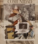 Pájaros del mundo/ Birds of the world
