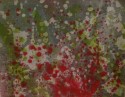 Printemps - 2008