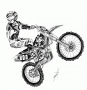 Mike Alessi