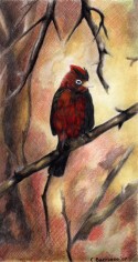 Pájaro 06