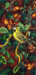 Pájaro 10