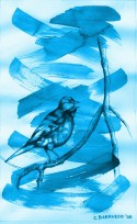 Pájaro 29