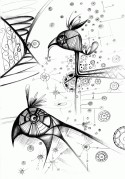 pajaros
