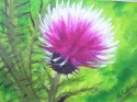 flordecardo