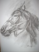 Caballo 2