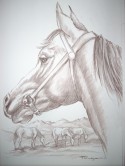 Caballo 3