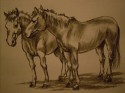 caballos 6