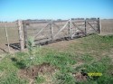 Llanura pampeana argentina.