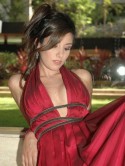 Haute Couture1
