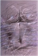 Torso