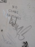 No comas animales
