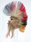 Punk Raimbow Wakani