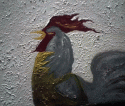 Gallo