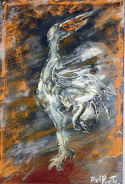 la Grulla