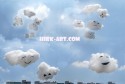 SKY LIVE