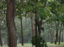 Lluvia