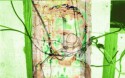 DesGhost
