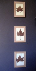 Serie Otoño