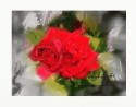 The Bloom