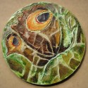 junonia