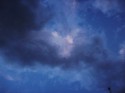 Cielo de pájaros