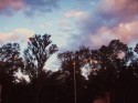 Bosque III