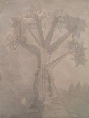 Arbol 7