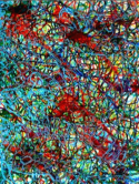 Interconnectedness
