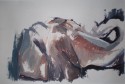 elefante