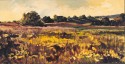 Campos de Bélgica