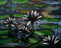lilies