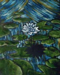 lily