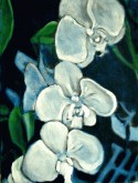 orchids
