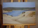 medanos puerto madryn