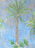 grand palm