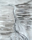 heron