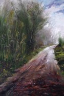 Camino de la gola del Ter