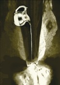espalda