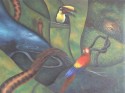 Amazonas