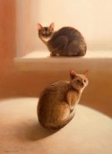 Claude and Peanut