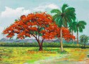 Flamboyan y Palmas