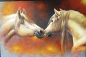 CABALLOS DE MI SABANA