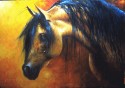 CABEZA ED CABALLO