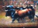 TOROS