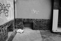 Urban