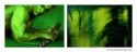 Green Hero
