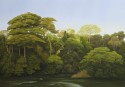 Rio verde. © Jorge Cavelier 2009. 40x56inch.