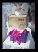 THE GIFT