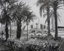 Marina Brush 2